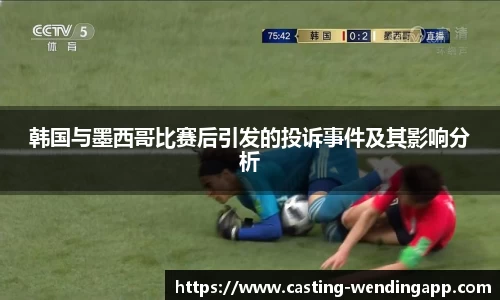 韩国与墨西哥比赛后引发的投诉事件及其影响分析